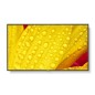 Sharp/NEC M551-2, 55" M-Series, LFD,